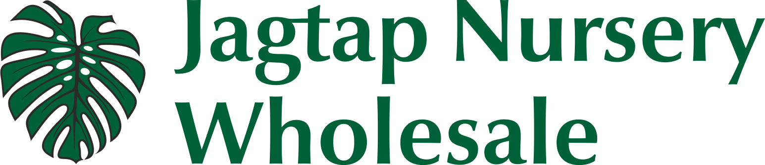 Jagtap Nursery - Wholesale